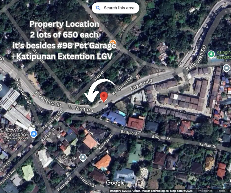 2 Side-by-Side 650 sqm Lots, Loyola Grand Villas photo 3