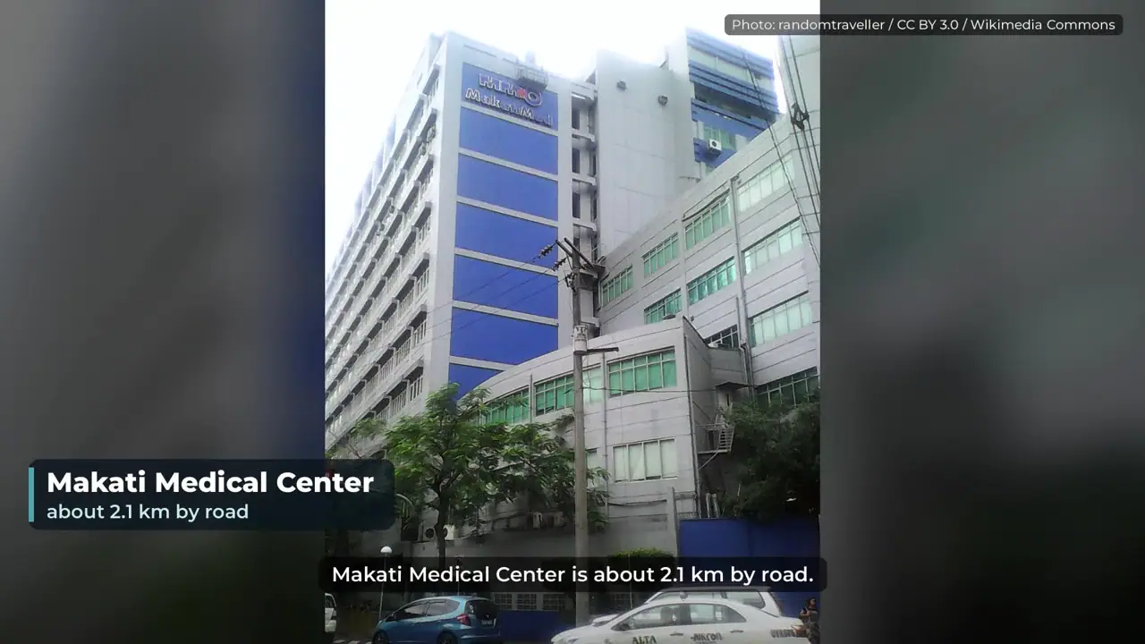 210 sqm Lot in Palanan, Makati photo 4