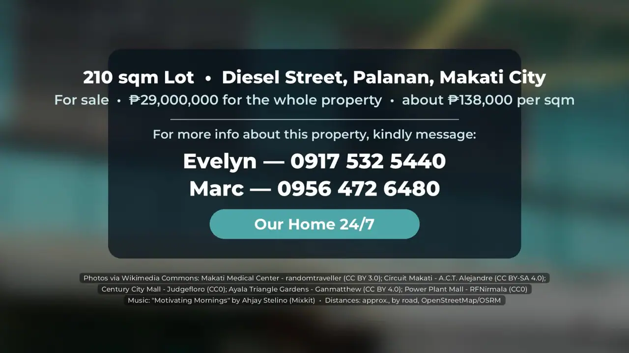 210 sqm Lot in Palanan, Makati photo 8