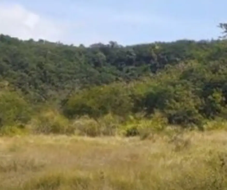 37-Hectare Titled Land near Daranak Falls photo 3